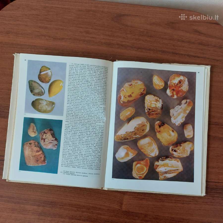 Vladas Katinas - Baltijos gintaras . - nuotraukos Nr. 9