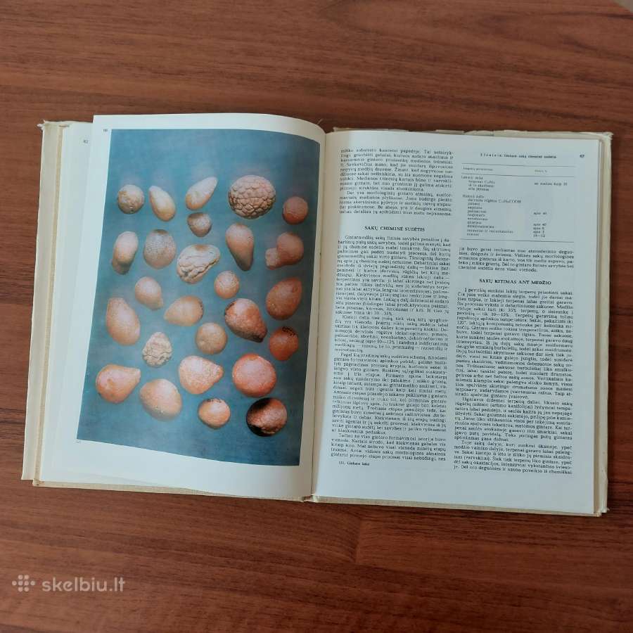 Vladas Katinas - Baltijos gintaras . - nuotraukos Nr. 10
