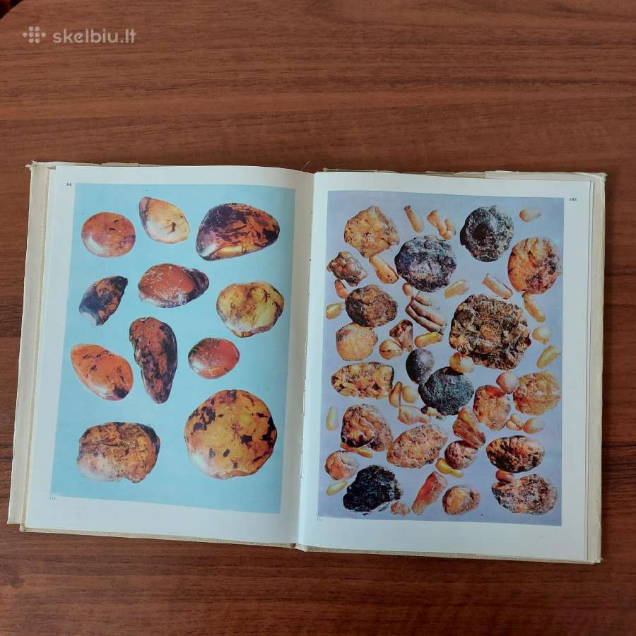 Vladas Katinas - Baltijos gintaras . - nuotraukos Nr. 11