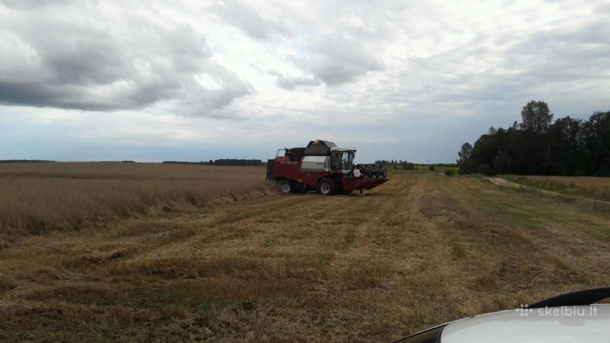 Šiaudų kitkos, Parduodam ir po 1vnt. Iš rugių - nuotraukos Nr. 10