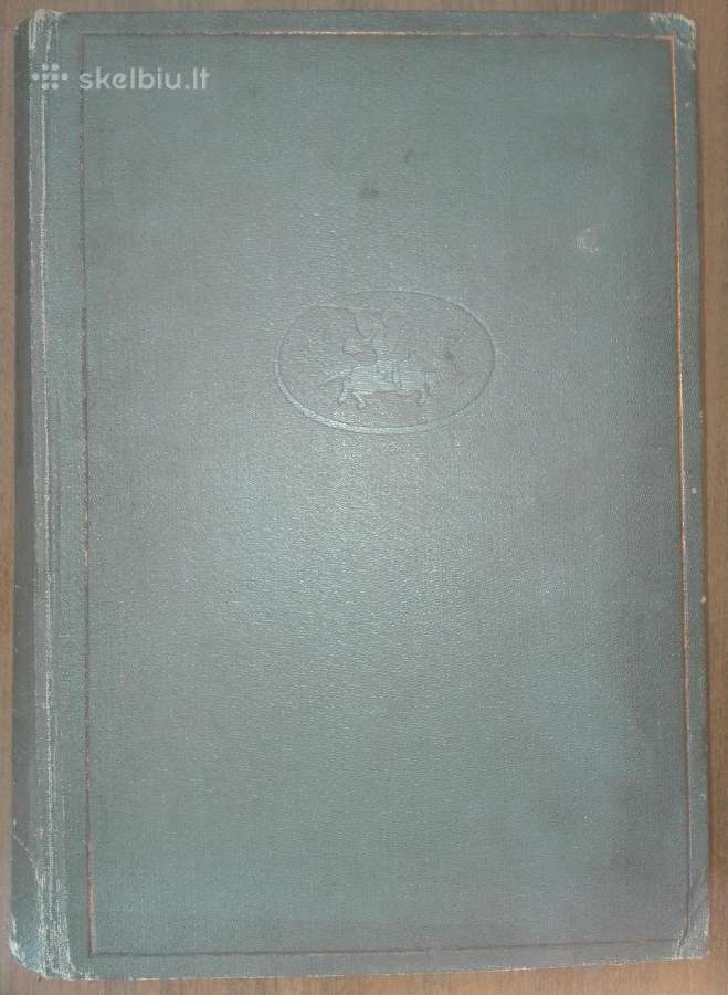 1850. Абисиния (эфиопия)