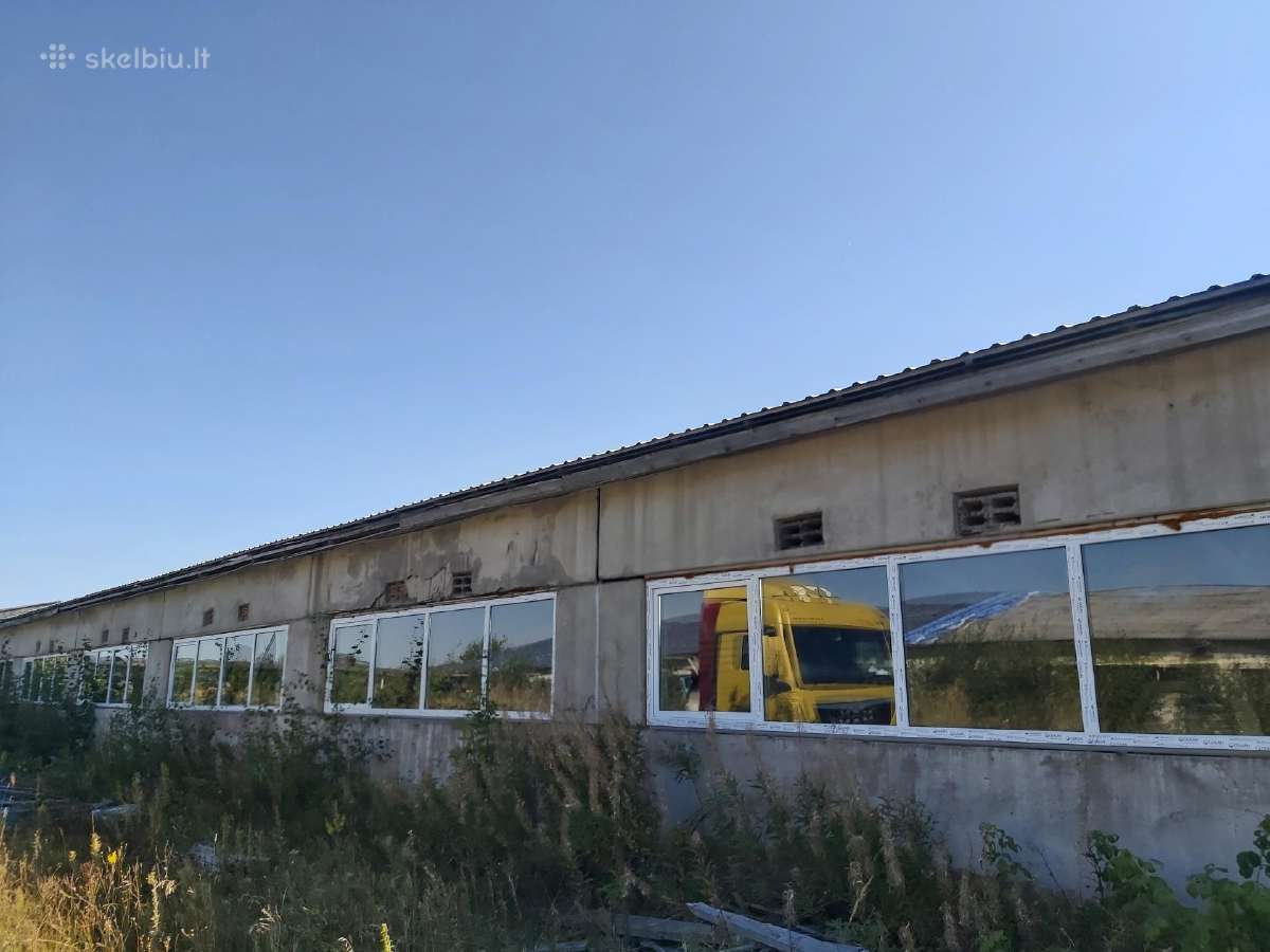 Ieškau partnerio gamybai/prekybai,4200m2 patalpose - nuotraukos Nr. 2