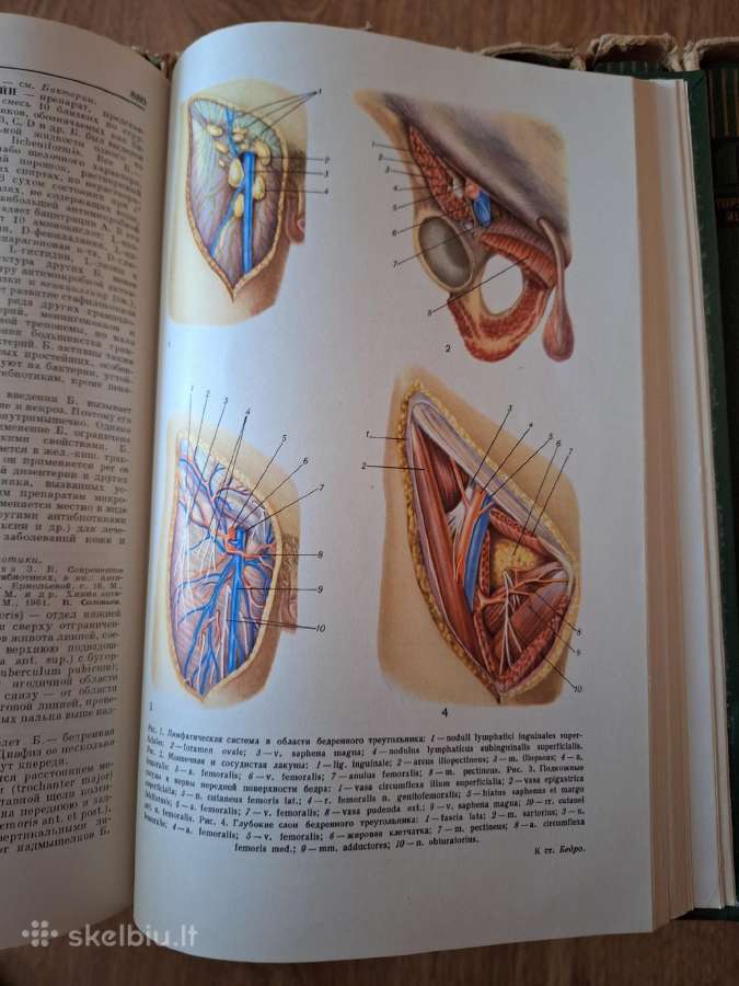 Mažoji medicinos enciklopedija. Ru - nuotraukos Nr. 5