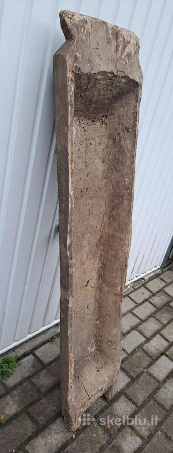 Didelė, sena gelda.