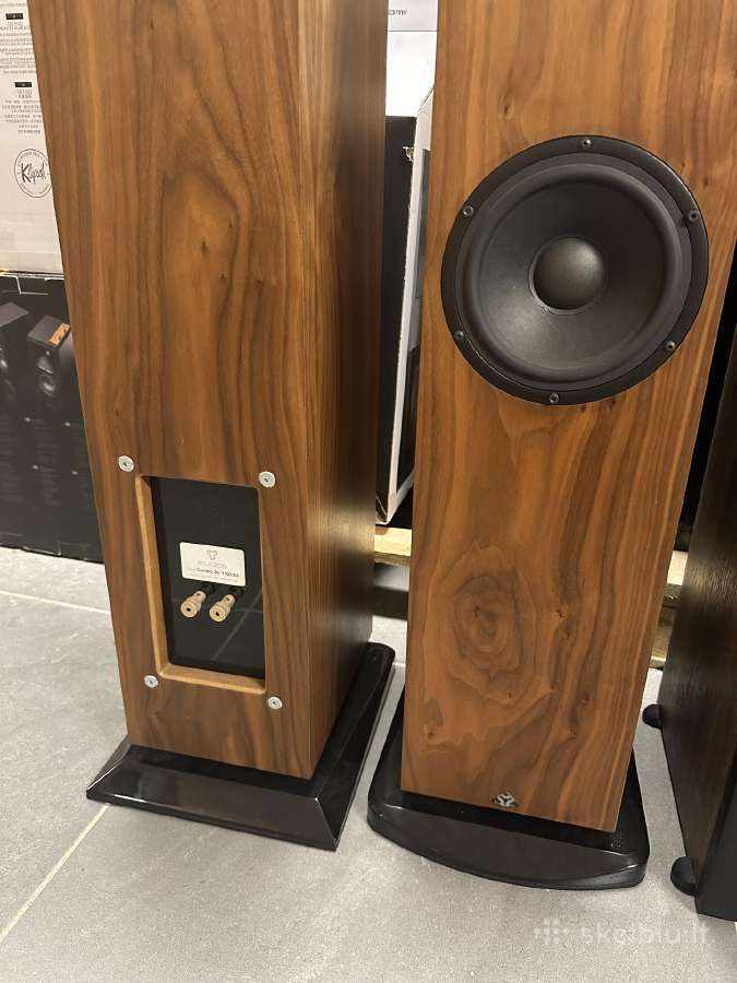 Proac D20r ribbon mapple koloneles