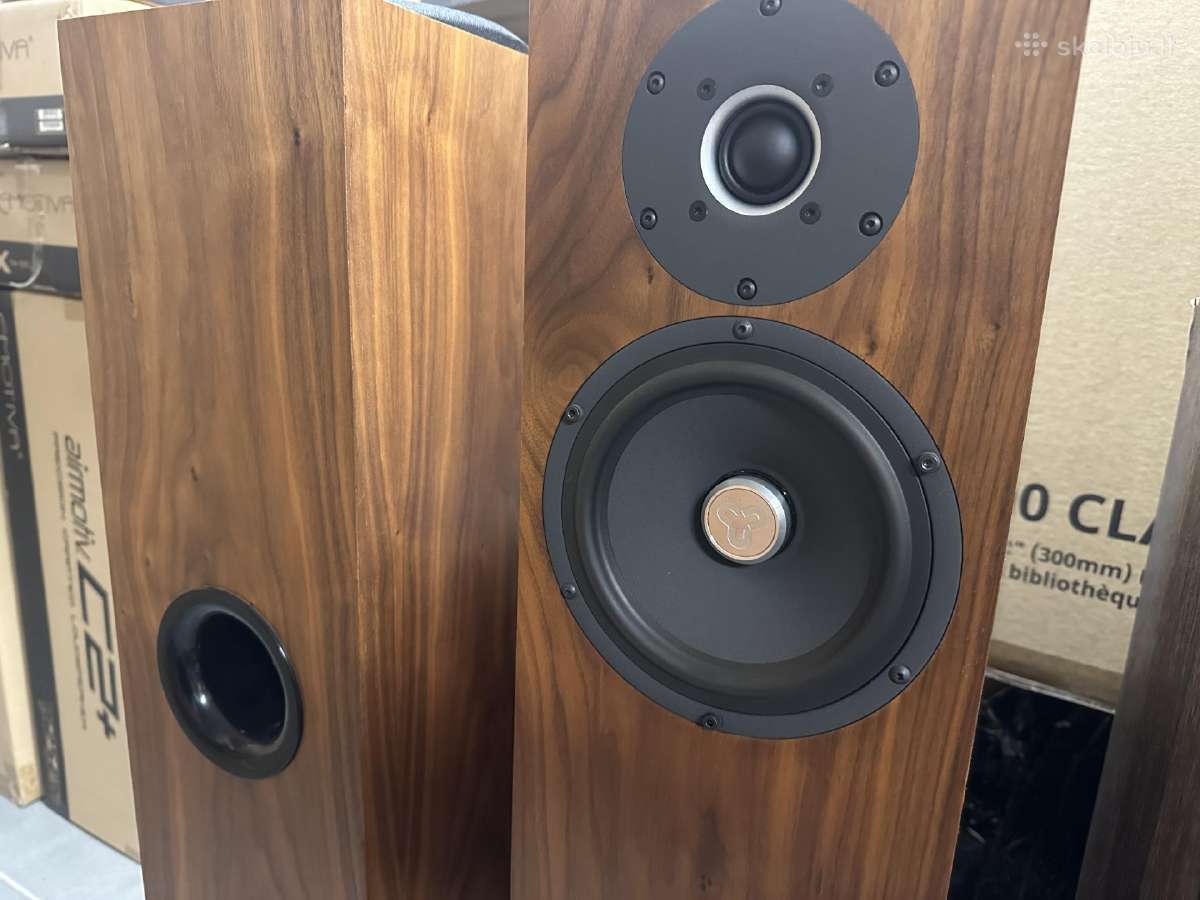 Proac D20r ribbon mapple koloneles - nuotraukos Nr. 13