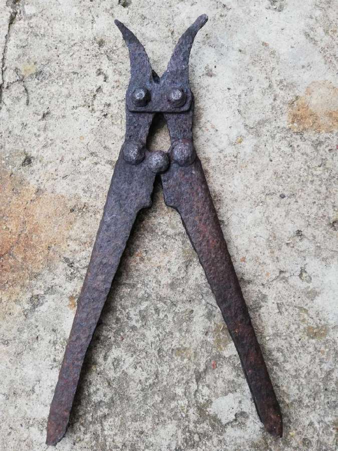 Ww1.rkka.zyrkles vielai kirpti - nuotraukos Nr. 2