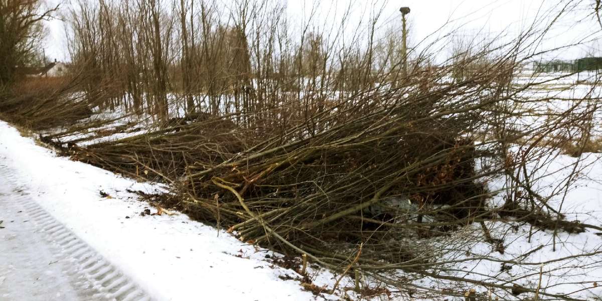 Žoles pjovimas,medžių ir krūmų pjovimas ir išvež. - nuotraukos Nr. 13