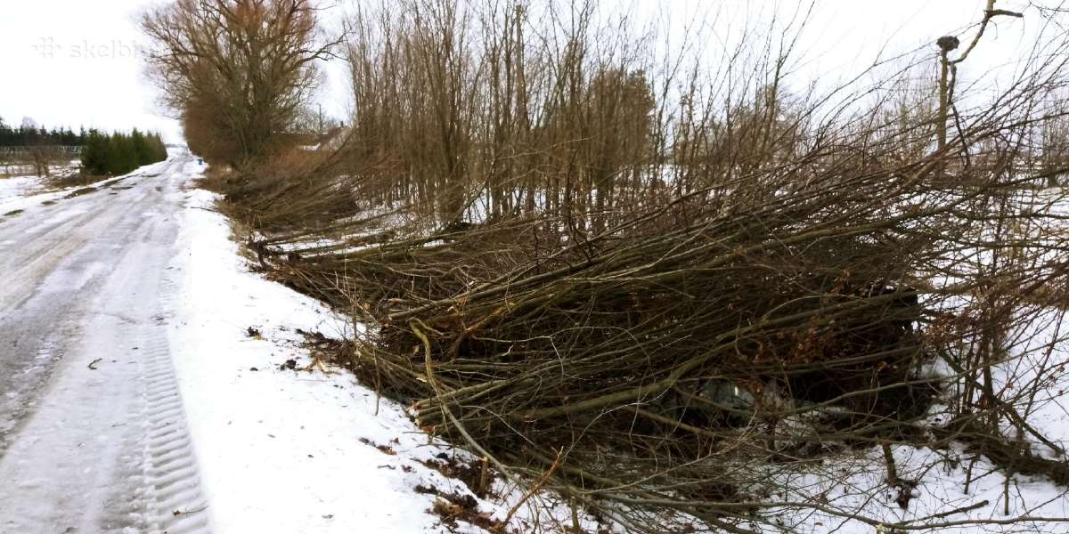 Žoles pjovimas,medžių ir krūmų pjovimas ir išvež. - nuotraukos Nr. 12