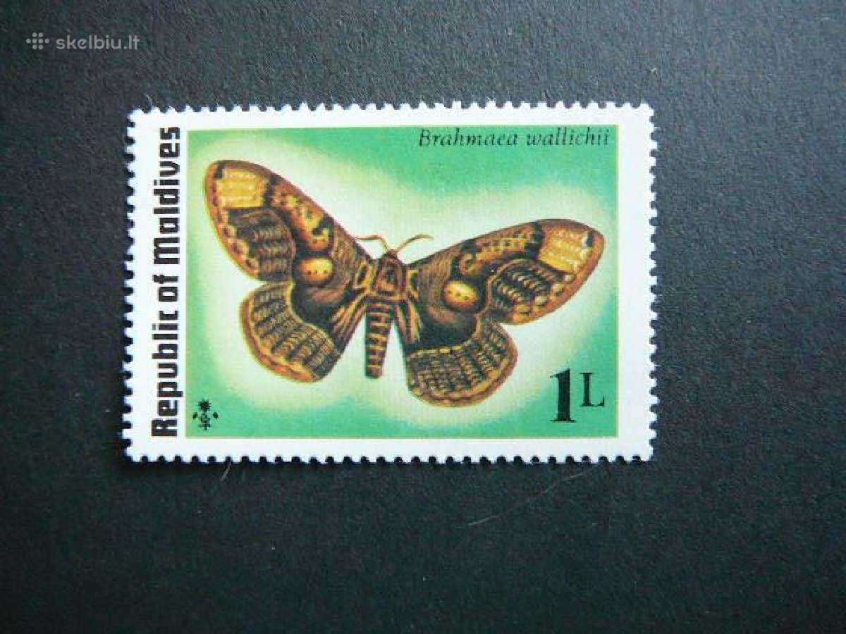 Drugeliai Maldyvai Mnh mal292