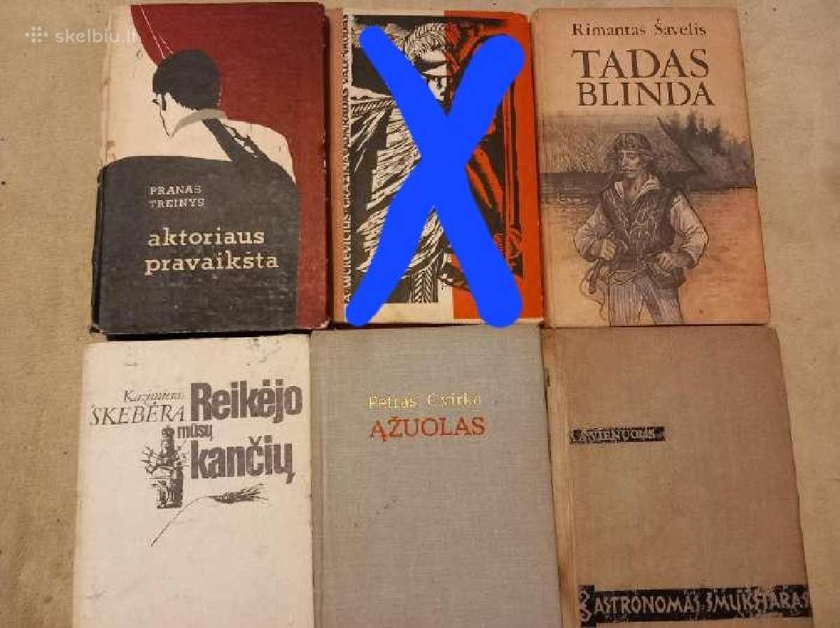 Įvairios lietuvių autorių knygos