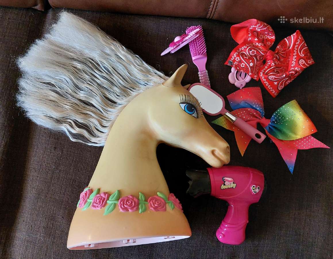 Ponio galva šukuosenoms.mattel