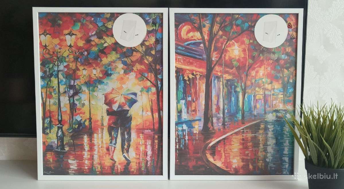 Paveikslas, įrėmintos 2 fotodrobės (2x 30x40cm)