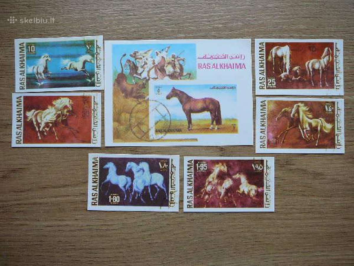 Arkliai Ras AL Khaima antsp. rsk461
