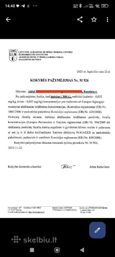 Skustos bulvės - nuotraukos Nr. 4