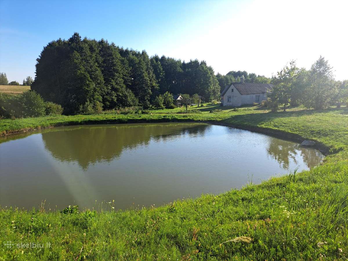 Parduodu sodybą - Skelbiu.lt