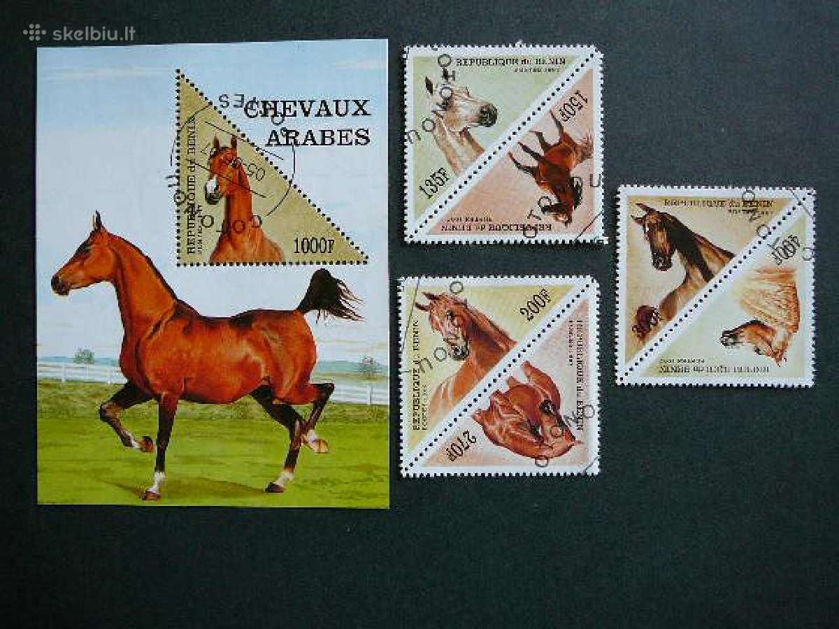 Arkliai Beninas 1997 antsp. bnn372