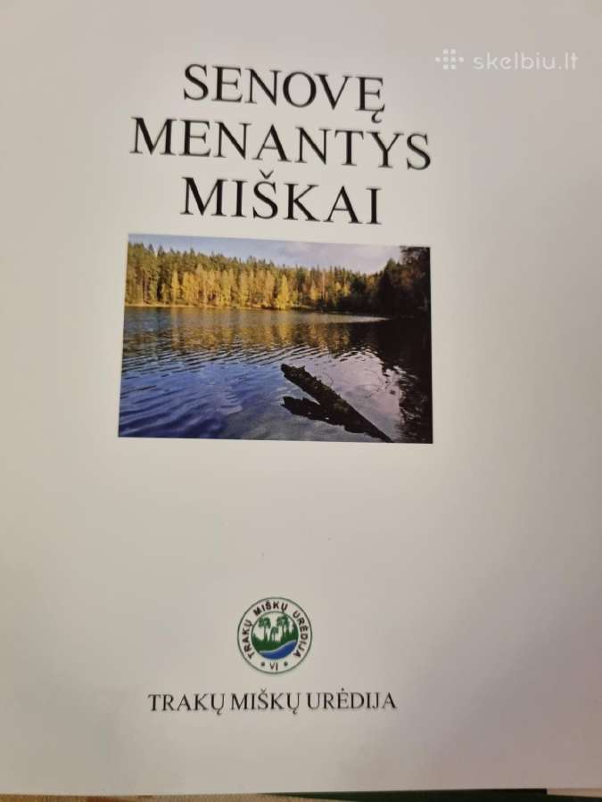Senovę menantys miškai - nuotraukos Nr. 2