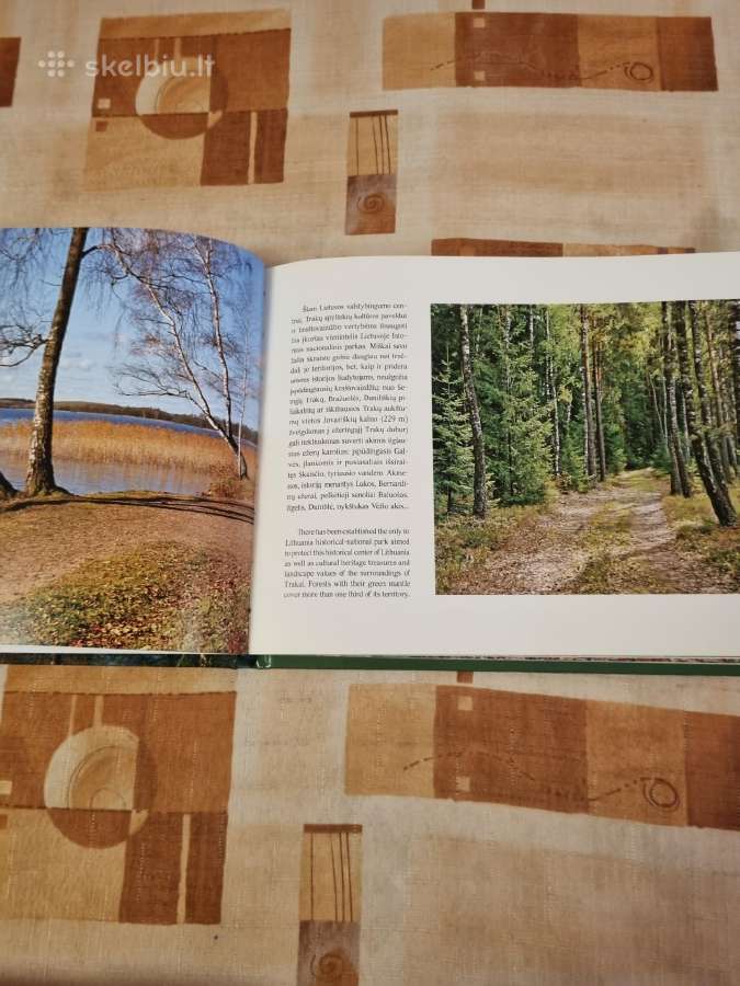 Senovę menantys miškai - nuotraukos Nr. 4