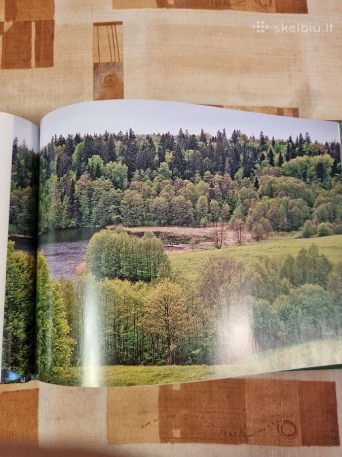 Senovę menantys miškai - nuotraukos Nr. 7