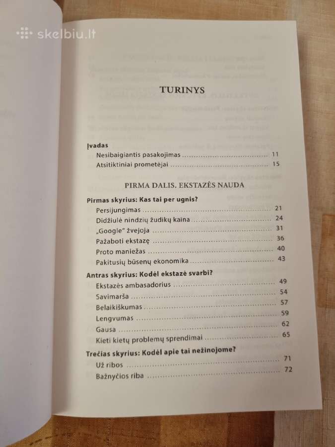 Pavogti ugnį - nuotraukos Nr. 3