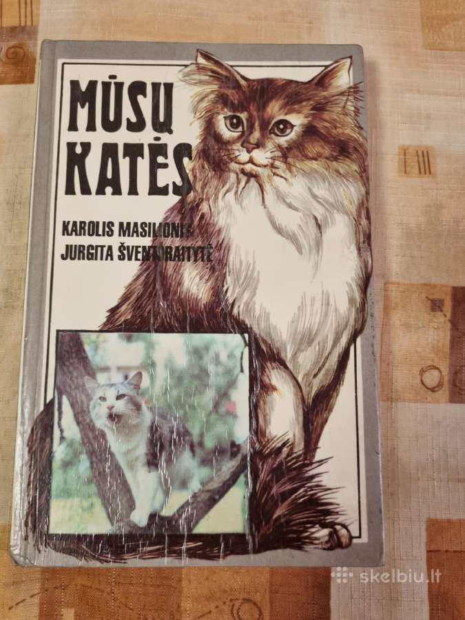 Mūsų katės