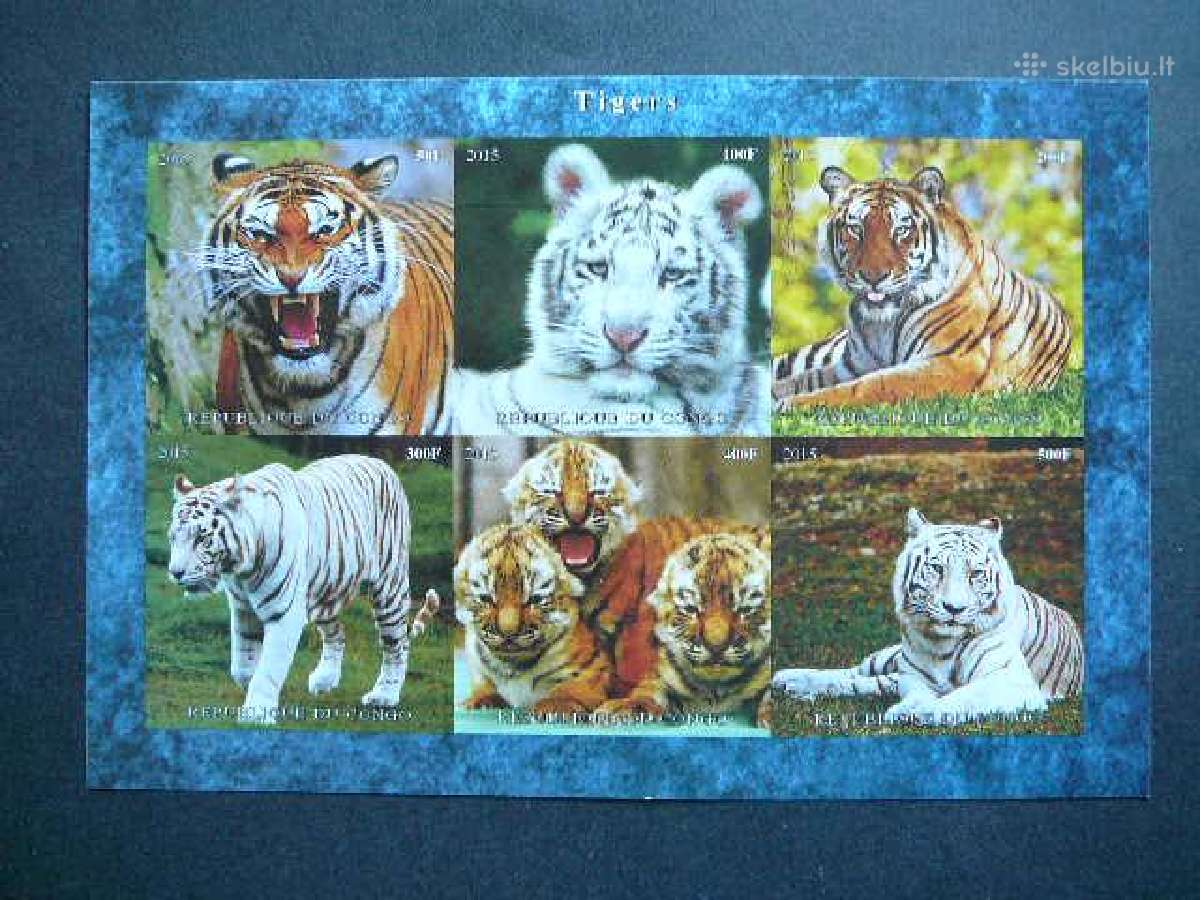 Tigrai Kates laukines Cabo Verde 2015 Mnh cbv396