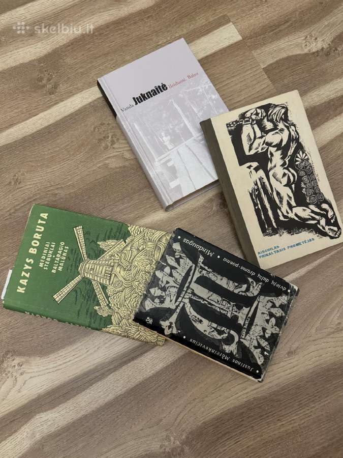 Knygos 10-12 klasei - nuotraukos Nr. 5
