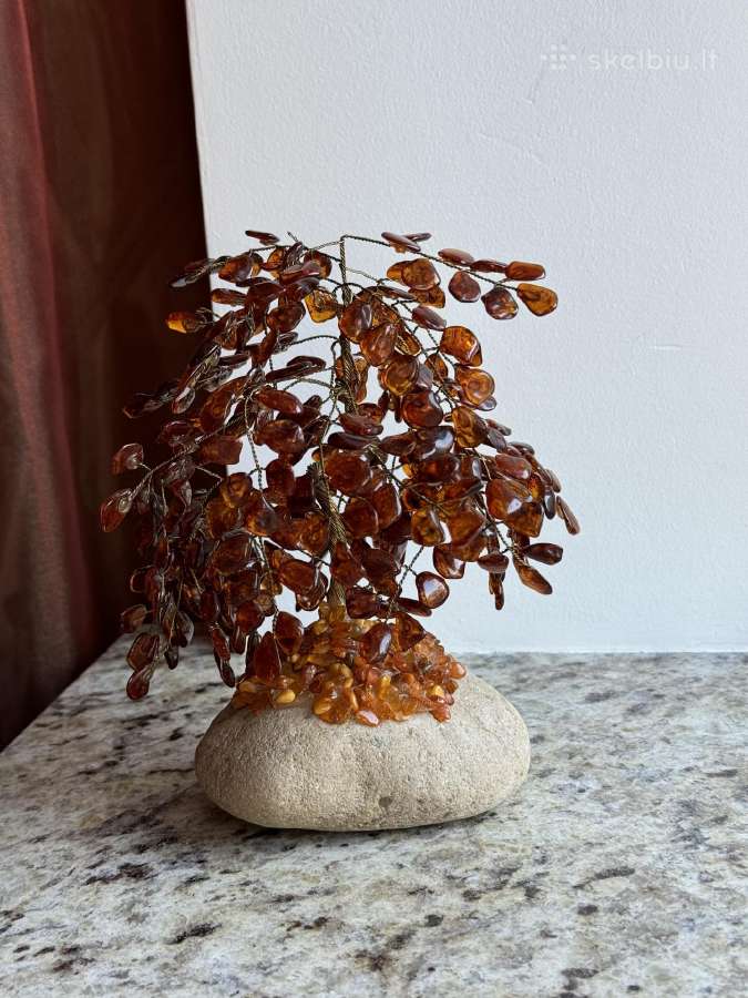 Gintarinis medis ant akmens