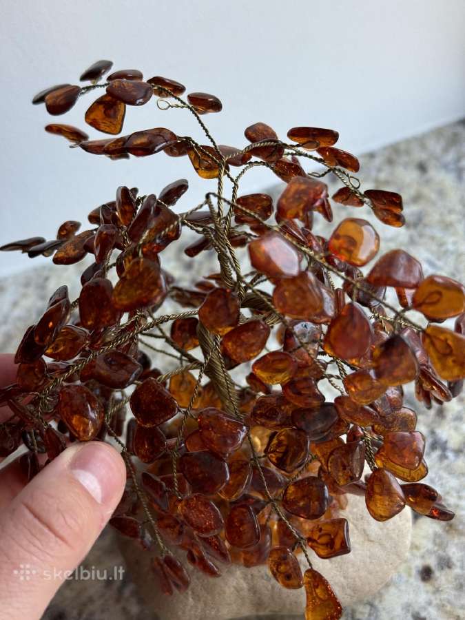 Gintarinis medis ant akmens - nuotraukos Nr. 4