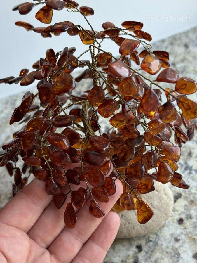 Gintarinis medis ant akmens - nuotraukos Nr. 8