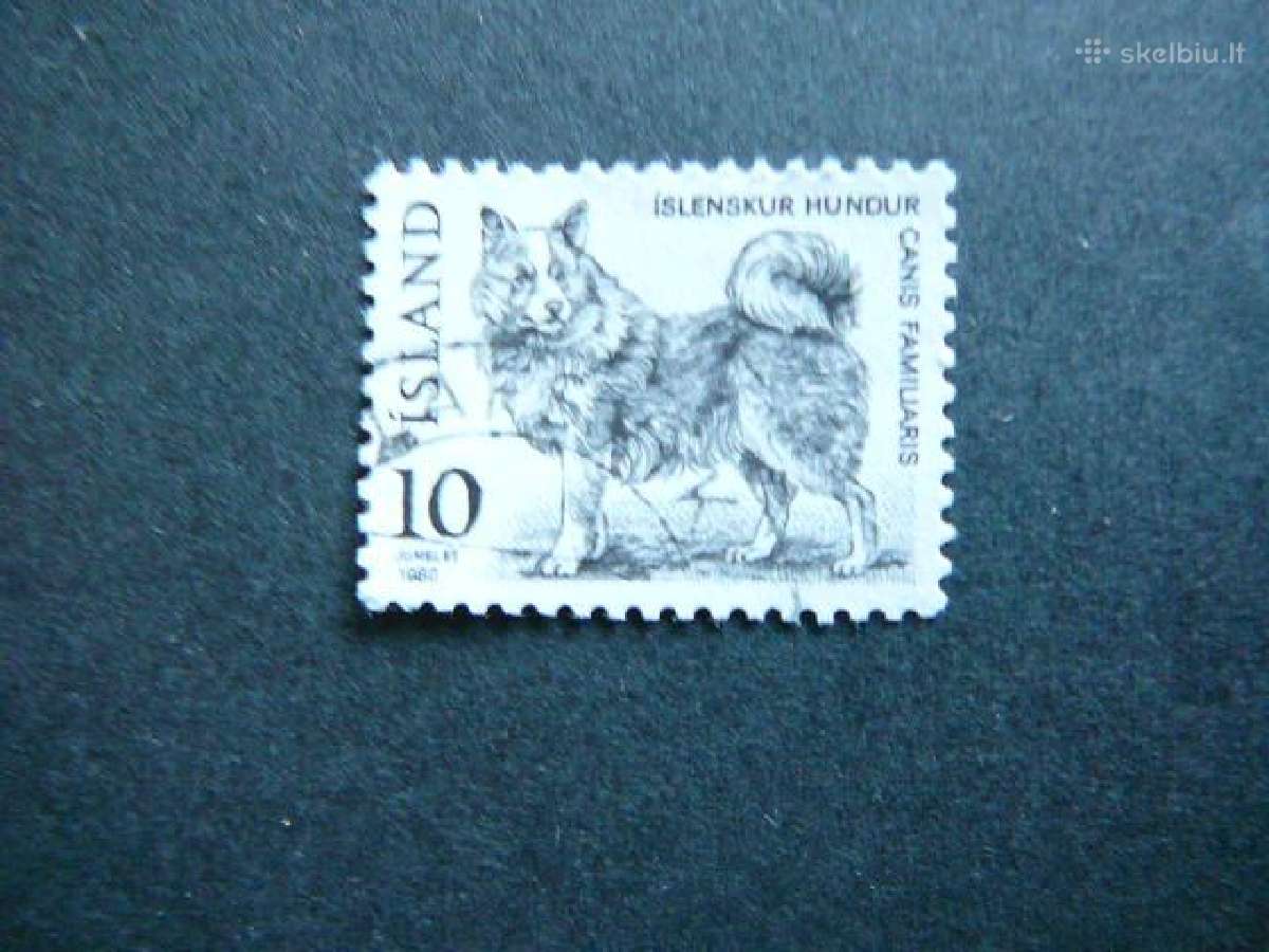 Sunys Islandija 1980 antsp. is397
