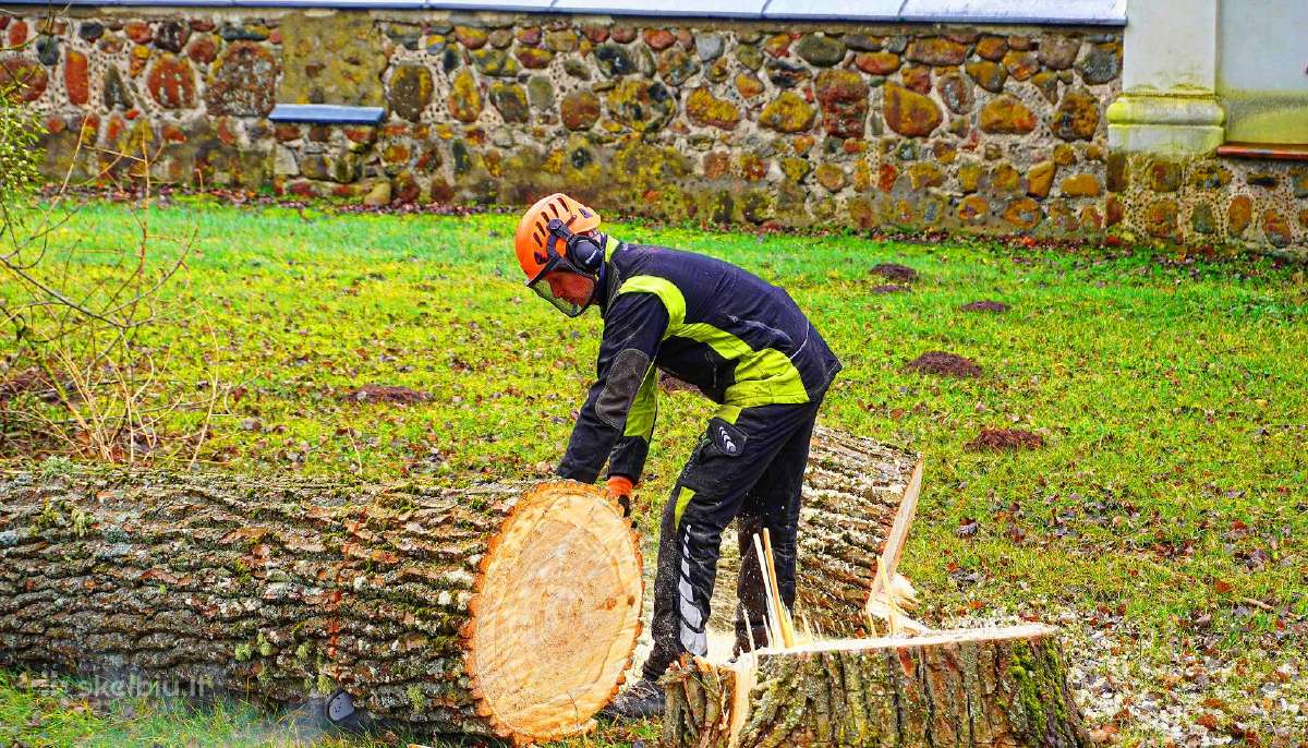 Ieškome darbuotojų teritorijų priežiūros darbams - nuotraukos Nr. 9
