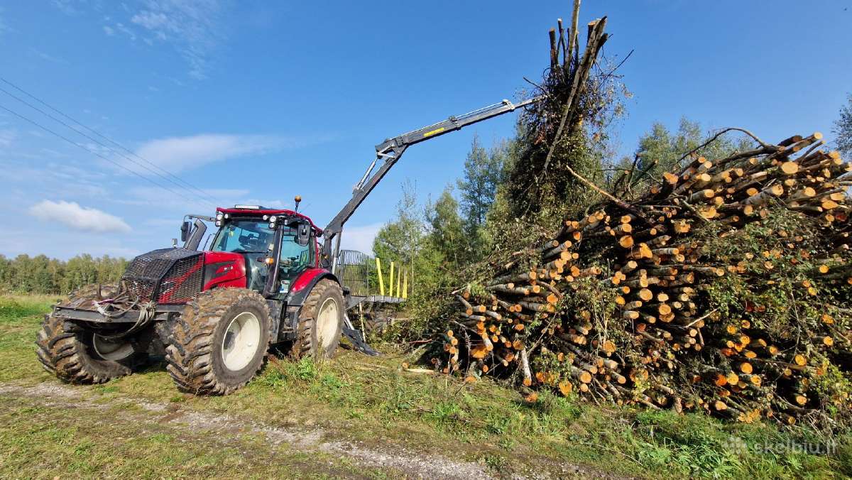 Medžių ir krūmų iškirtimas - apleisto sklypo valym