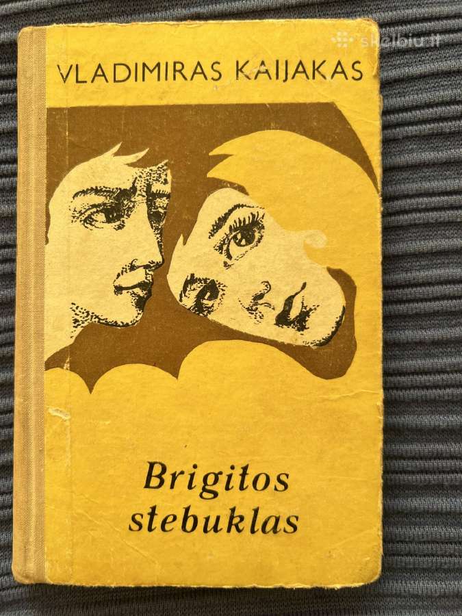 Parduodama knyga Brigitos stebuklas