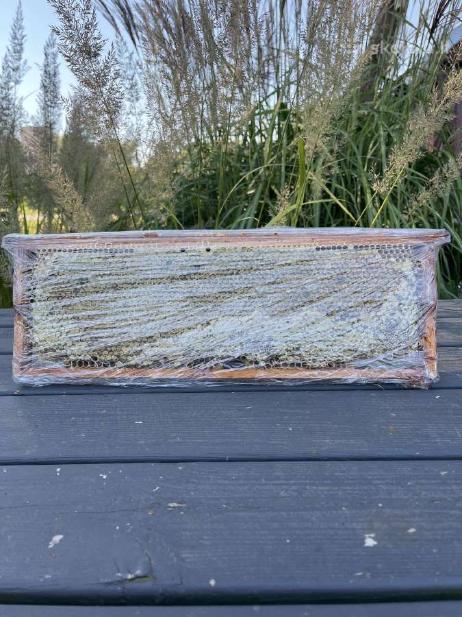 Medus 7 eur / 1 kg. - nuotraukos Nr. 6
