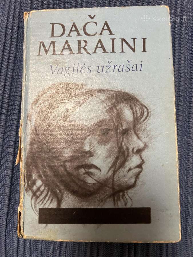 Knyga Vagilės užrašai. Dača Maraini