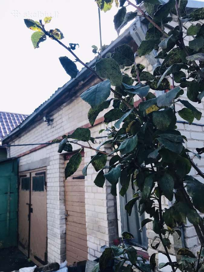 Parduodamas namas Marijampolėje su žemės sklypu - nuotraukos Nr. 15