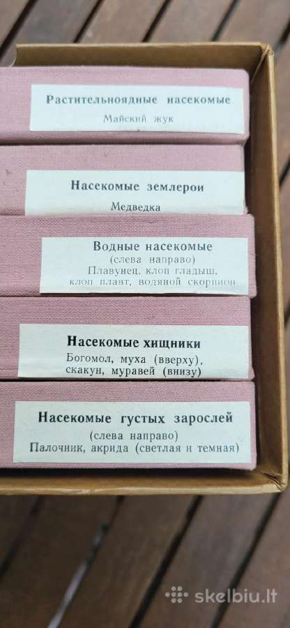 Sovetmecio 1975 m vabzdziu kollekcija - nuotraukos Nr. 9