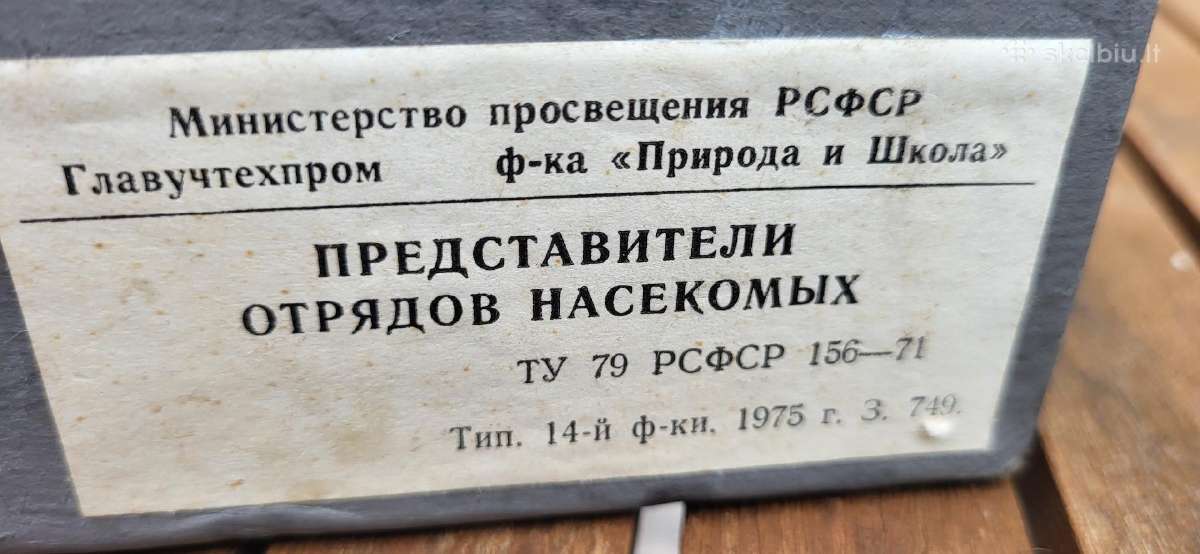 Sovetmecio 1975 m vabzdziu kollekcija - nuotraukos Nr. 10