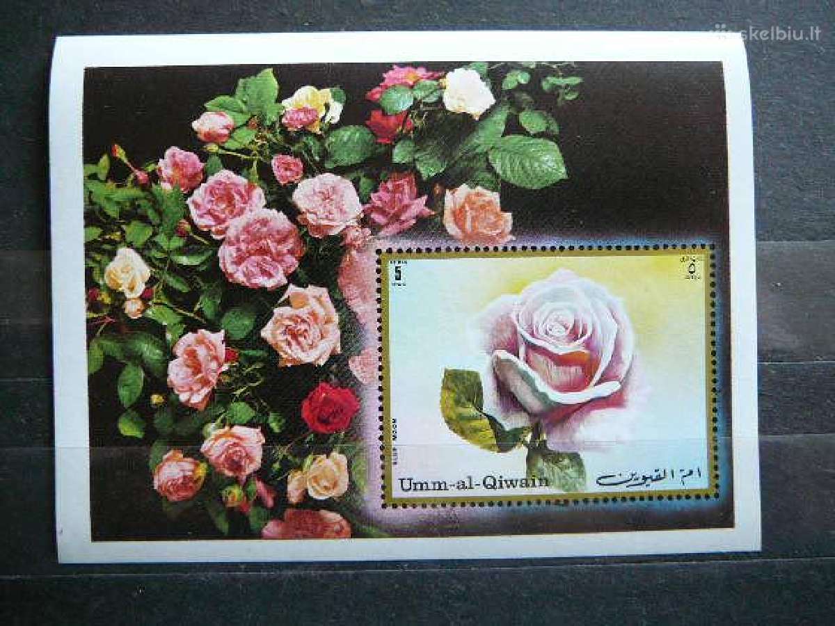 Rozes Geles Umm AL Qiwain svarus umm789