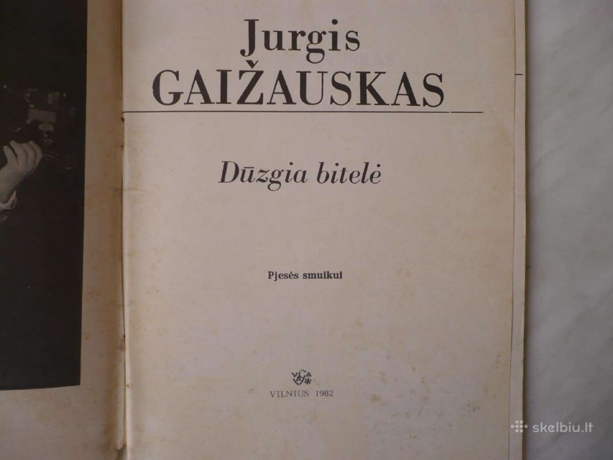 J. Gaižauskas - Dūzgia bitelė - nuotraukos Nr. 2