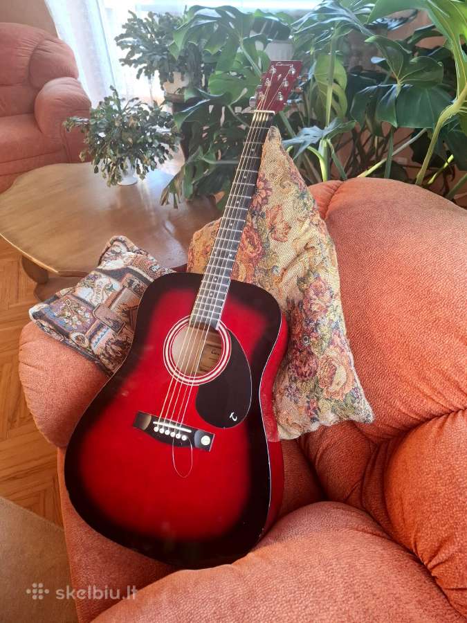 Tenson akustinė gitara su dėklu ir kitais priedais