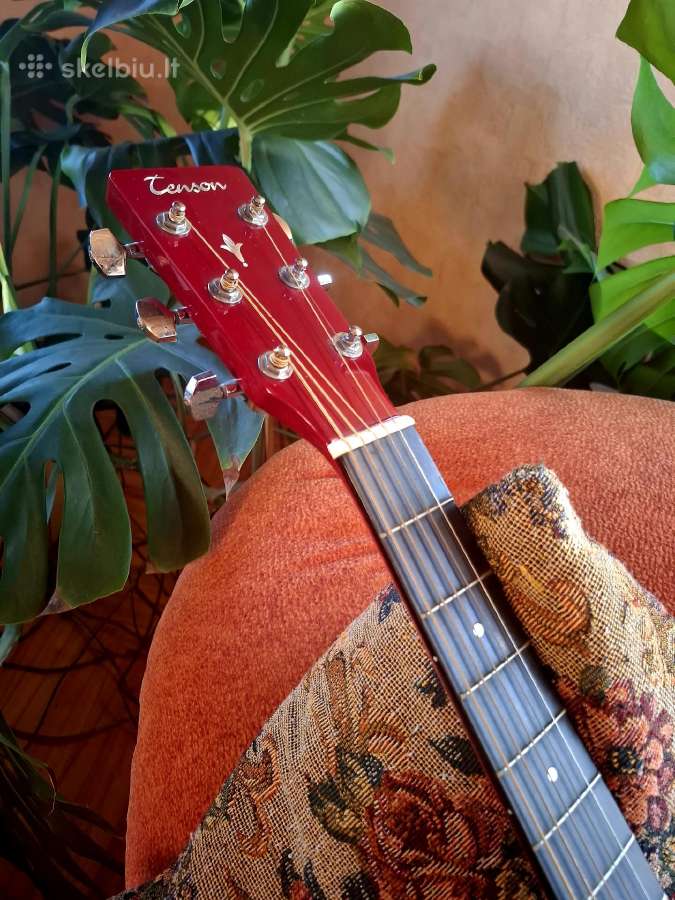 Tenson akustinė gitara su dėklu ir kitais priedais - nuotraukos Nr. 4