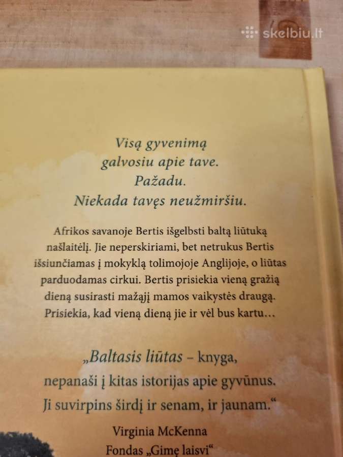 Baltasis liūtas - nuotraukos Nr. 3