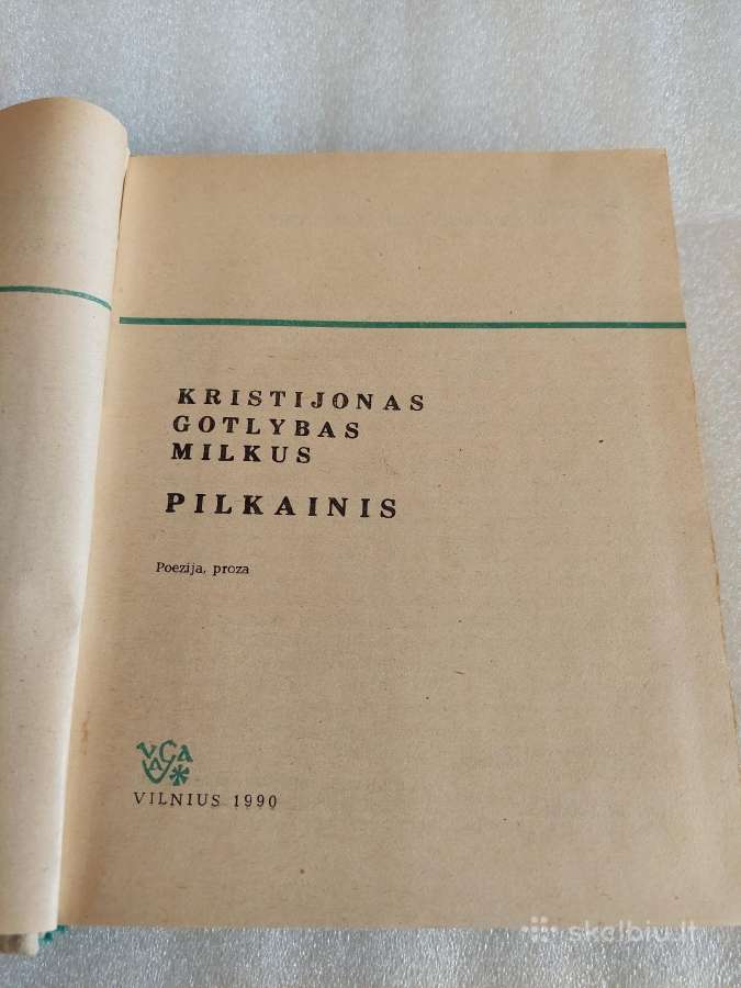 Pilkainis - nuotraukos Nr. 2