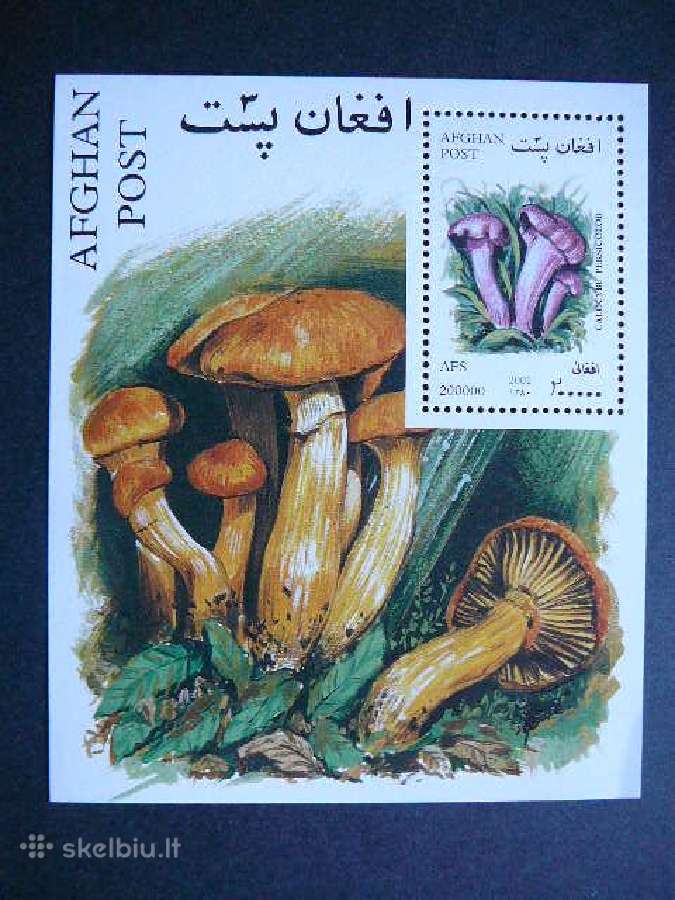 Grybai Afganistanas 2001svarus afg256