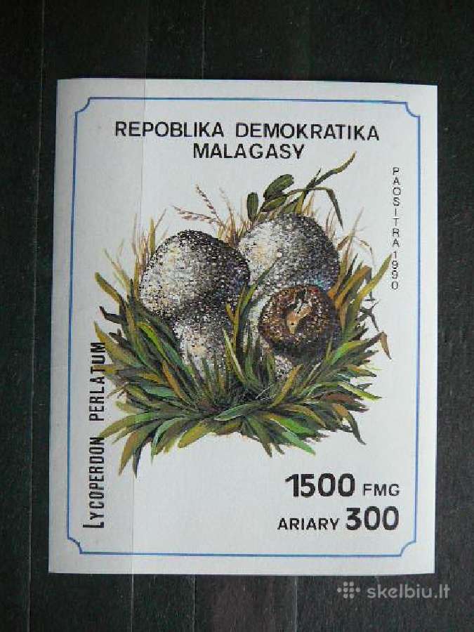 Grybai Madagaskaras 1990 mdg824s