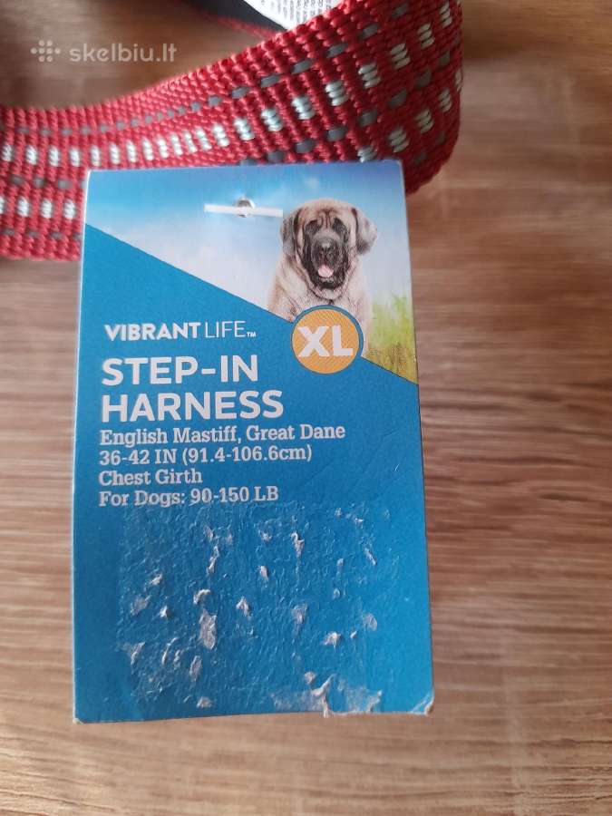 Vibrant Life, XL diržai, anglų mastifas, dogas. - nuotraukos Nr. 4