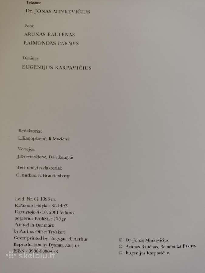 Lietuvos bažnyčių menas - nuotraukos Nr. 4